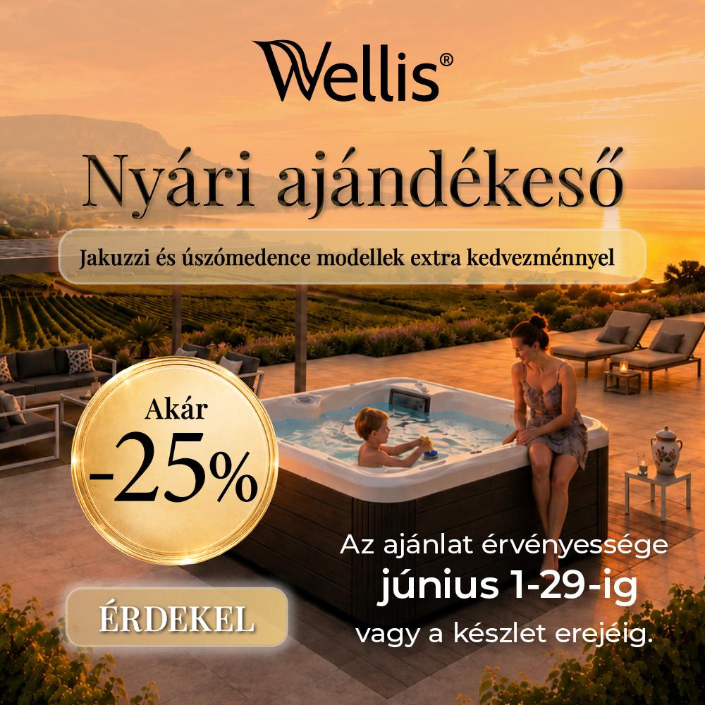 Wellis júniusi medence akció